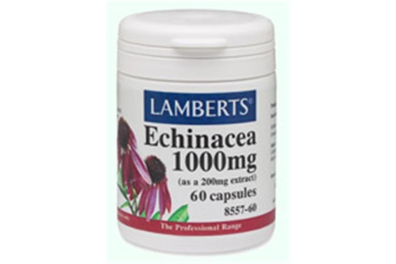 LAMBERTS Echinacea 1000mg 60tabs